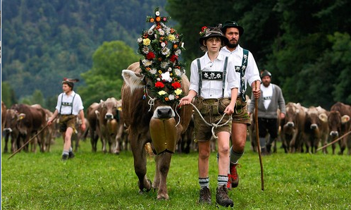 herder-german.png