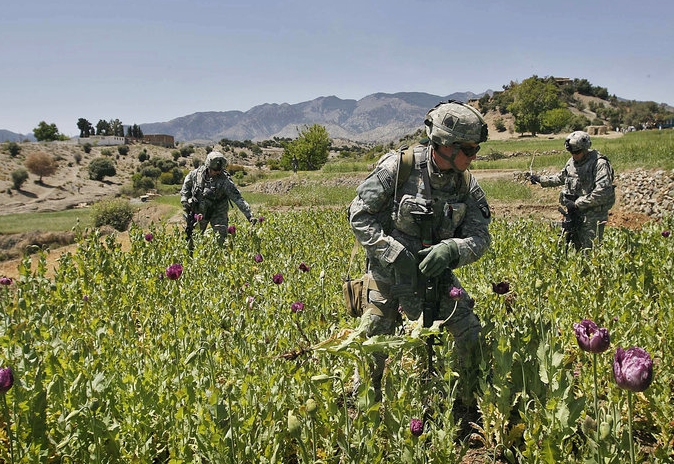 afghanistan-opium-fields.png