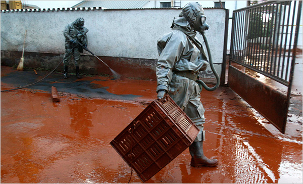 hungary toxic spill suit