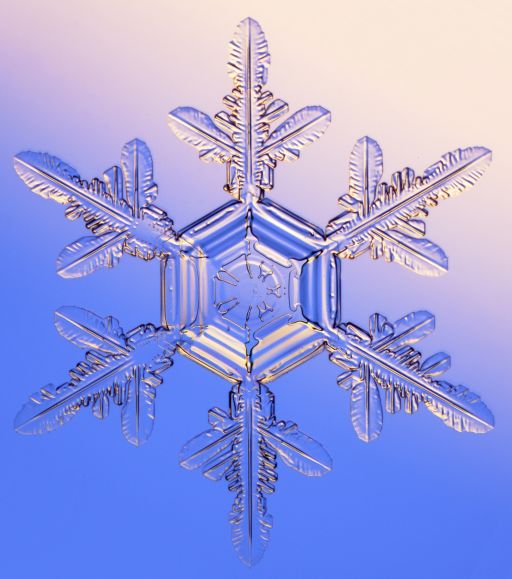 snowflake1