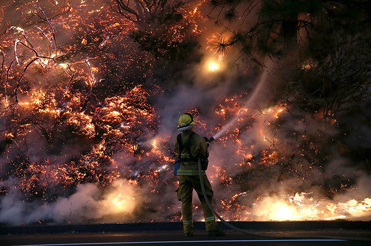 California, USA: A firefighter douses the flames of the Rim Fire near Grove