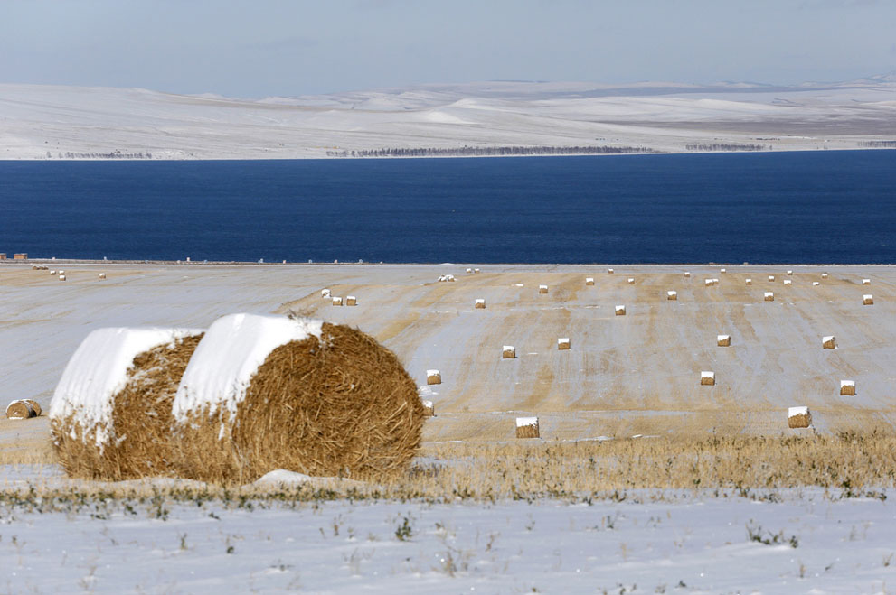 Hay bales, Belyo Lake, Siberia