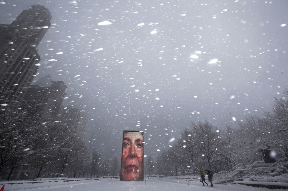 Face Millennium Park